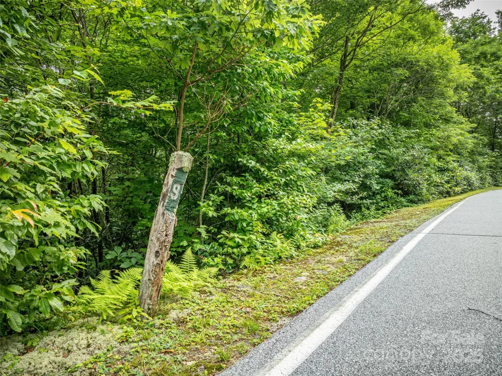 000 Meadow Ridge Drive #L9 Lake Toxaway, NC 28747