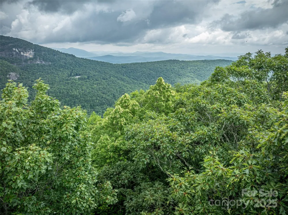 000 Meadow Ridge Drive #L9 Lake Toxaway, NC 28747