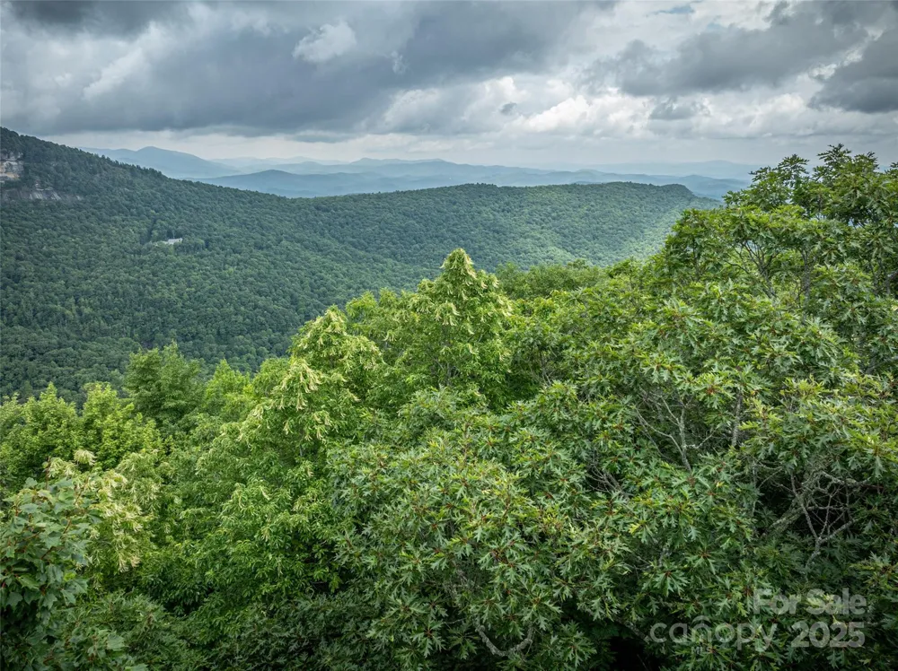000 Meadow Ridge Drive #L9 Lake Toxaway, NC 28747