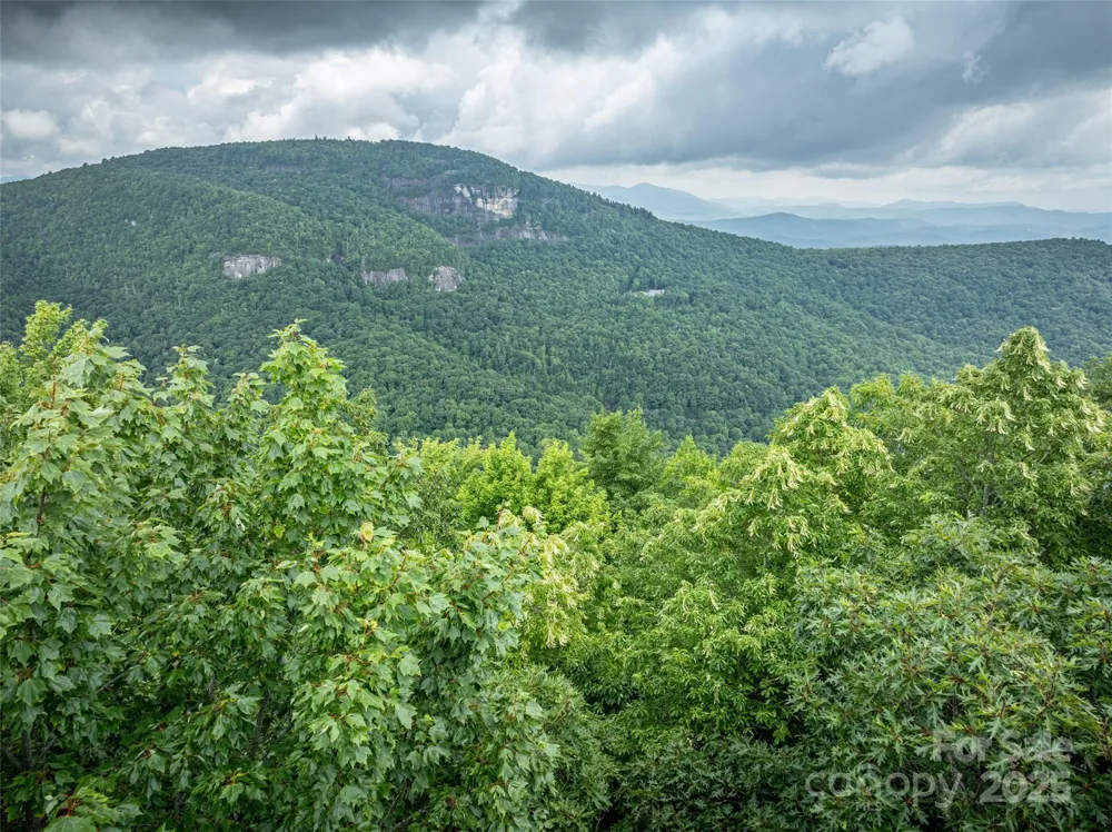 000 Meadow Ridge Drive #L9 Lake Toxaway, NC 28747
