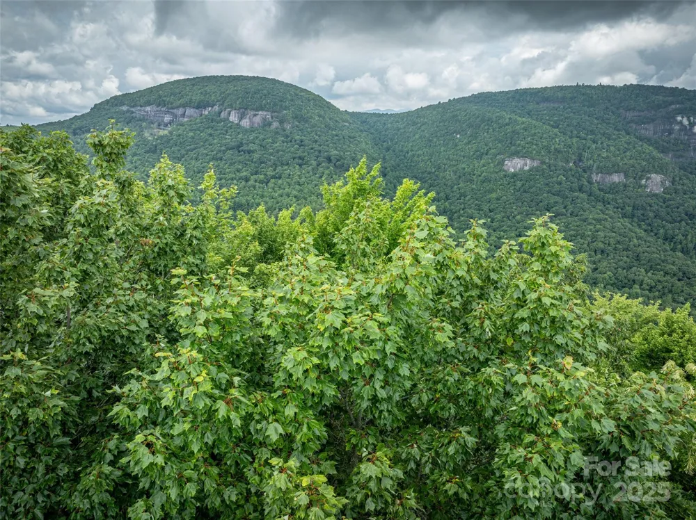 000 Meadow Ridge Drive #L9 Lake Toxaway, NC 28747