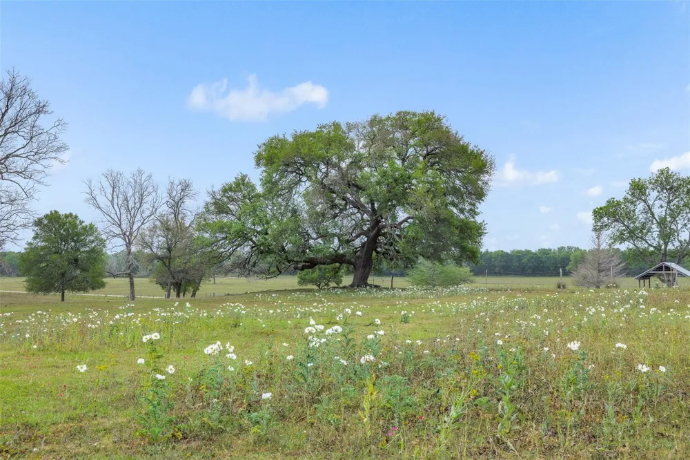 1089 Club Lane Columbus, TX 78934