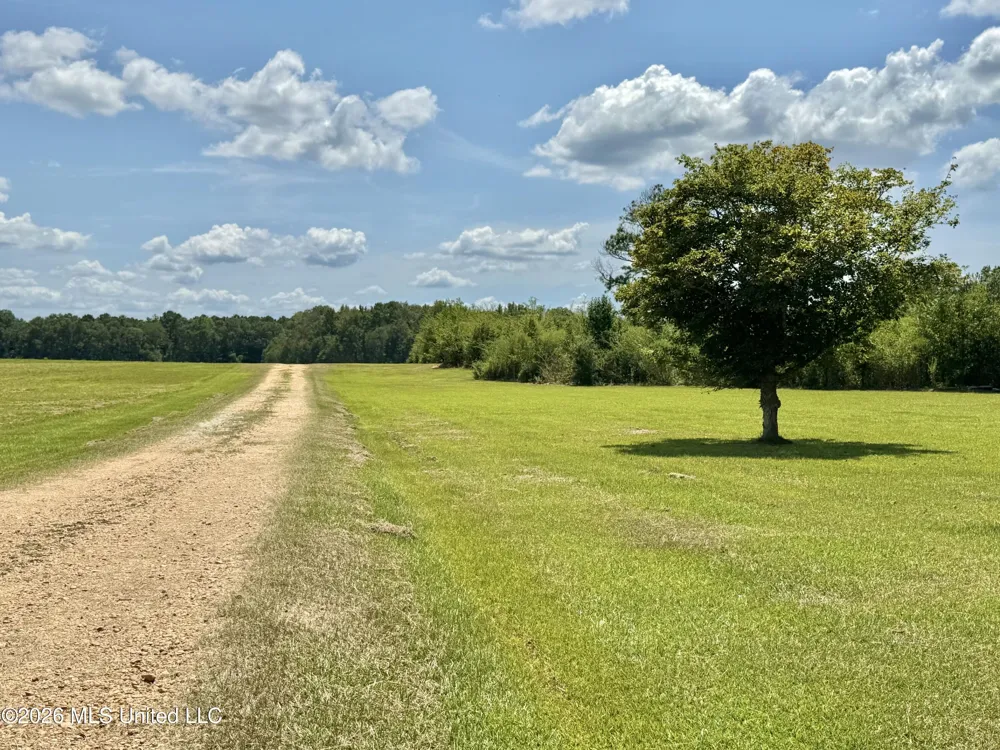 356 SW Dry Creek Trail Bogue Chitto, MS 39629