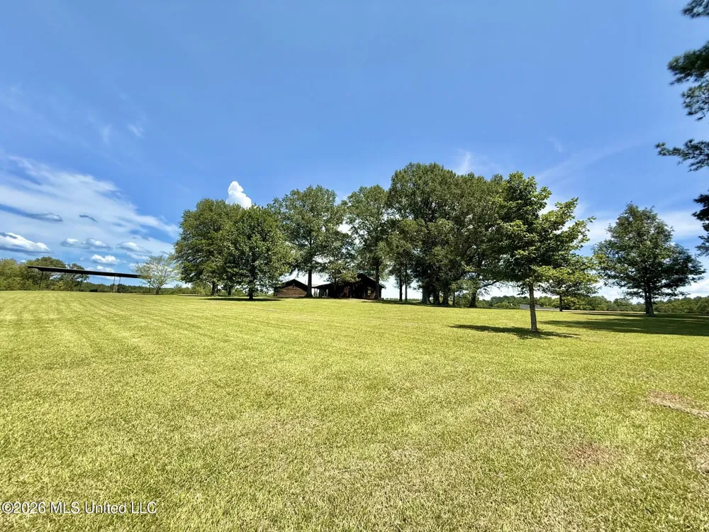 356 SW Dry Creek Trail Bogue Chitto, MS 39629