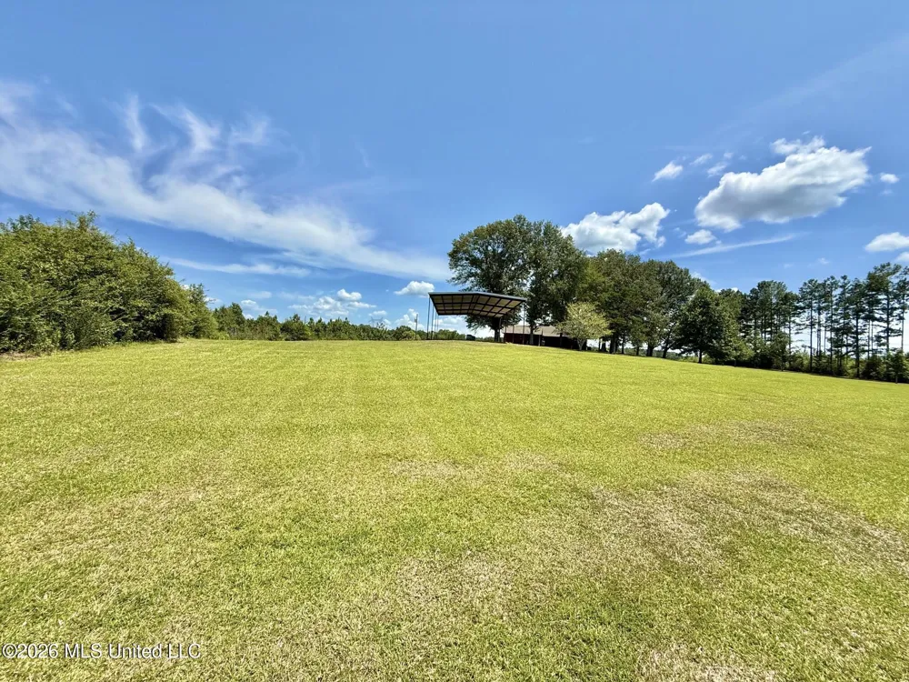 356 SW Dry Creek Trail Bogue Chitto, MS 39629