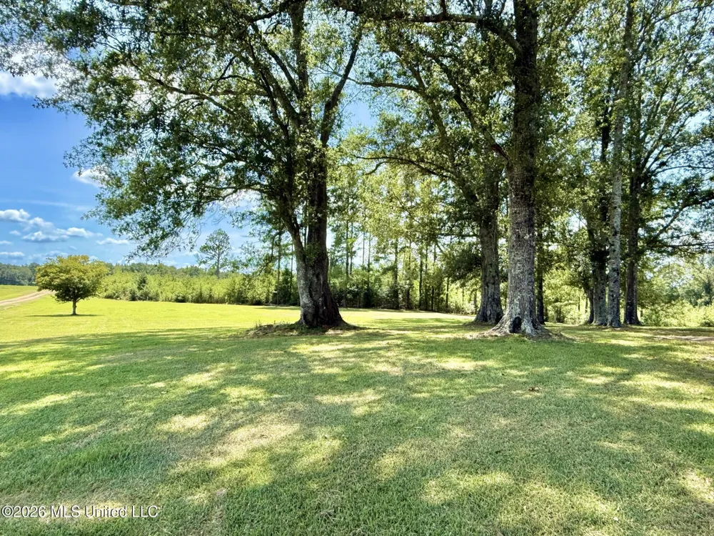 356 SW Dry Creek Trail Bogue Chitto, MS 39629