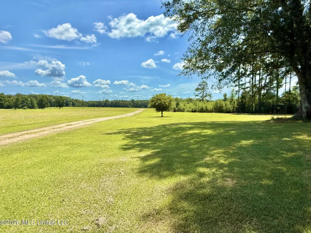 356 SW Dry Creek Trail Bogue Chitto, MS 39629