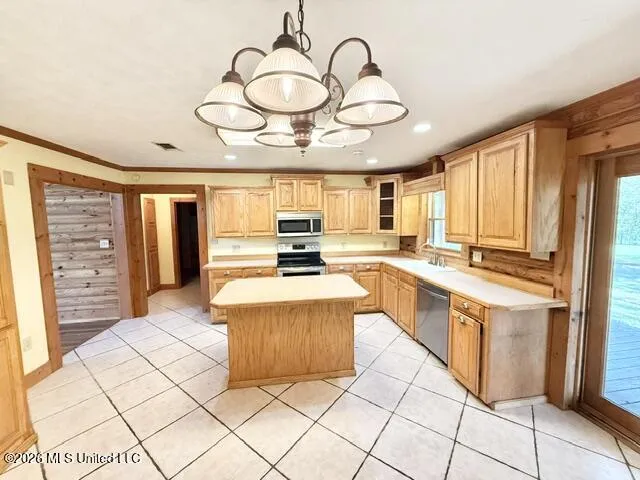 356 SW Dry Creek Trail Bogue Chitto, MS 39629
