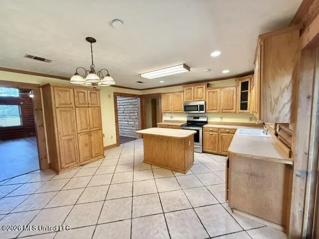 356 SW Dry Creek Trail Bogue Chitto, MS 39629