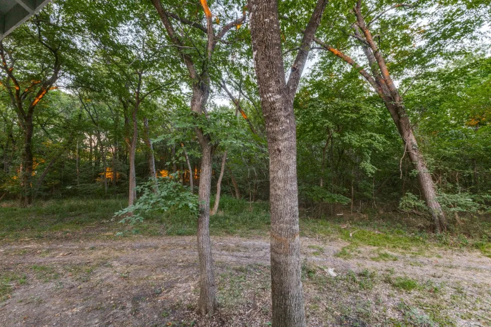 2990 County Road 568 Farmersville, TX 75442