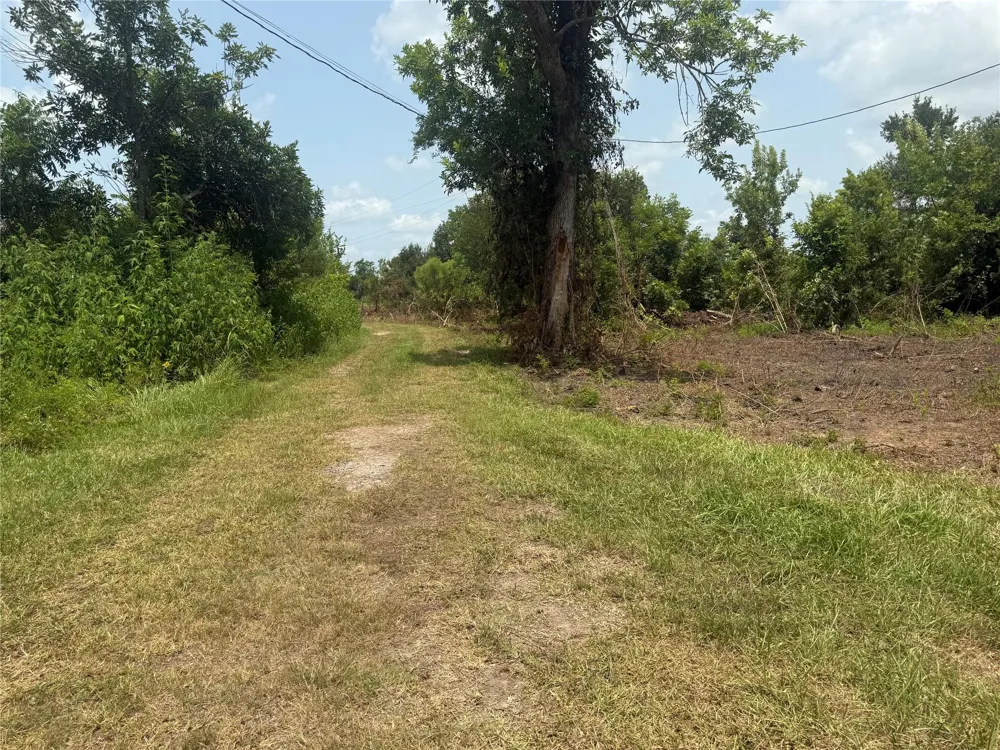4337 County Road 659a Brazoria, TX 77422