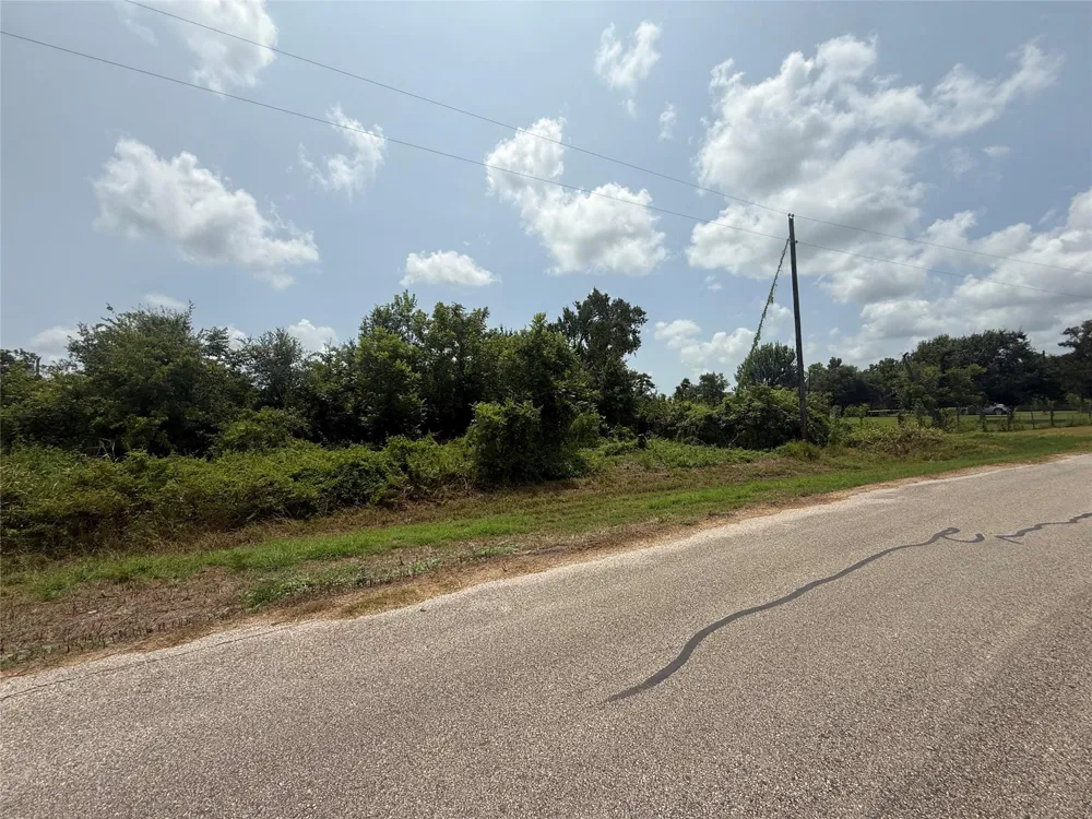 4337 County Road 659a Brazoria, TX 77422