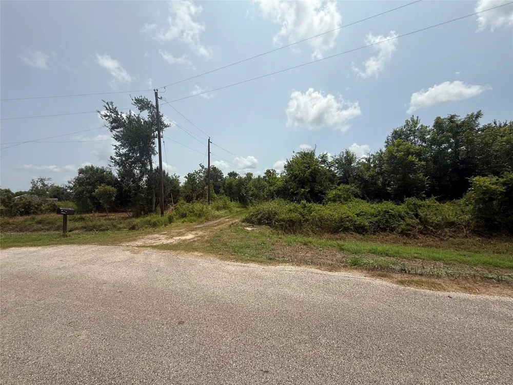 4337 County Road 659a Brazoria, TX 77422