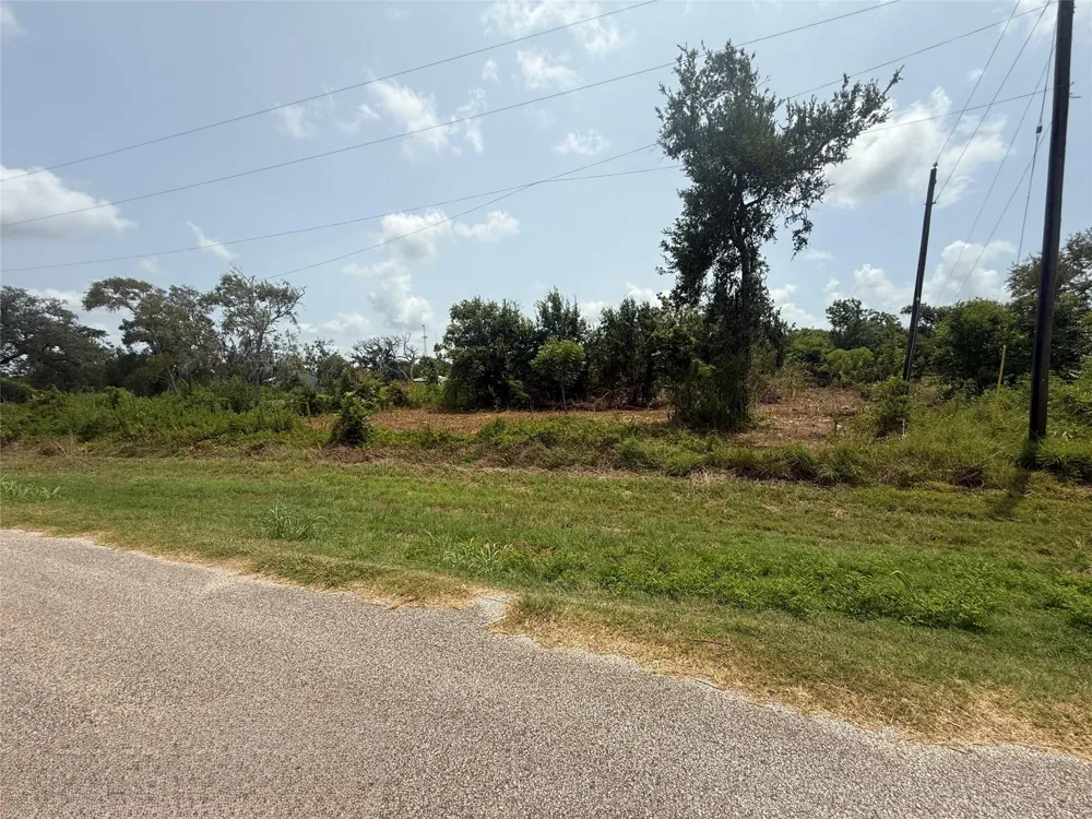 4337 County Road 659a Brazoria, TX 77422