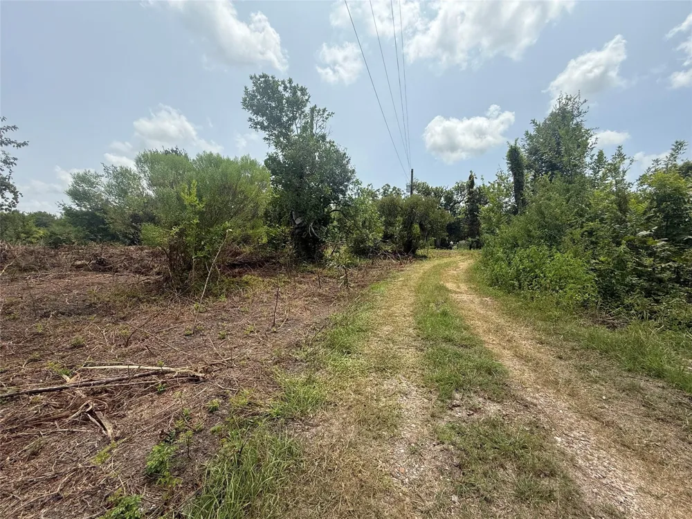 4337 County Road 659a Brazoria, TX 77422