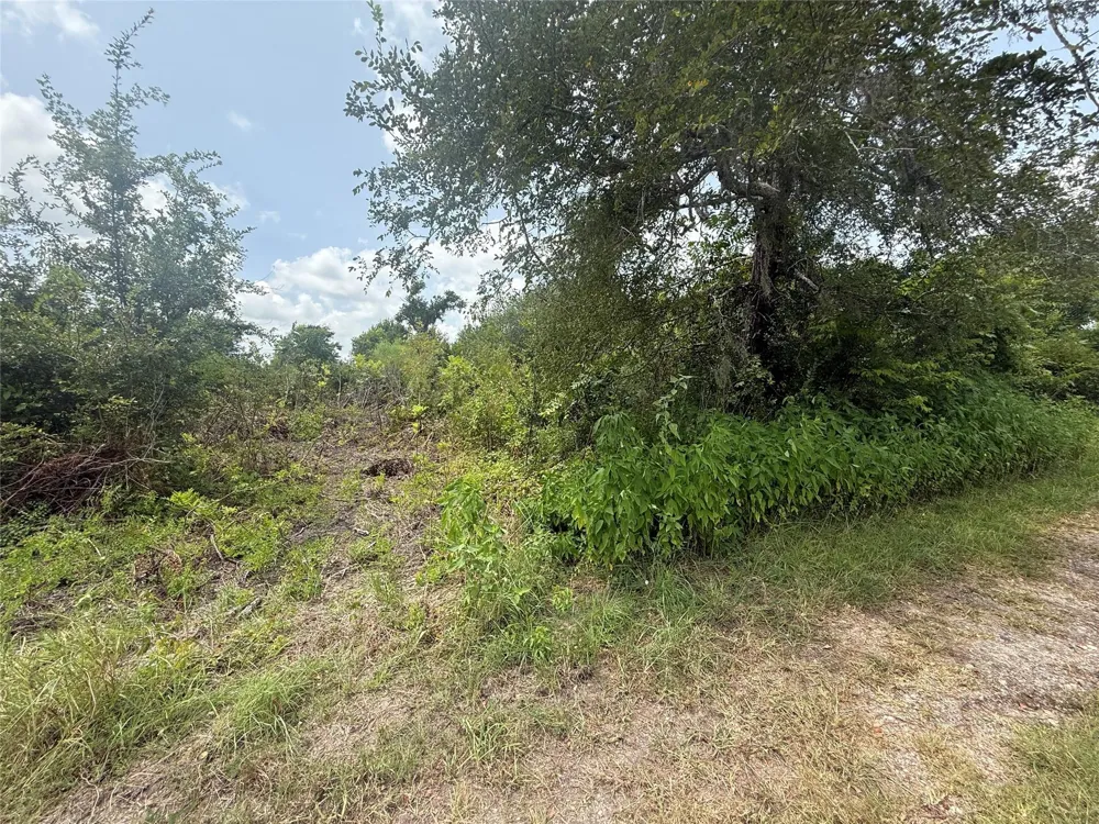 4337 County Road 659a Brazoria, TX 77422