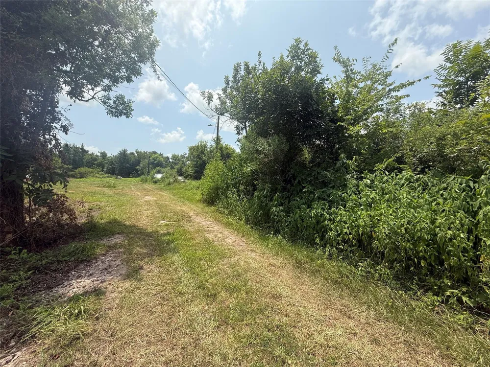 4337 County Road 659a Brazoria, TX 77422