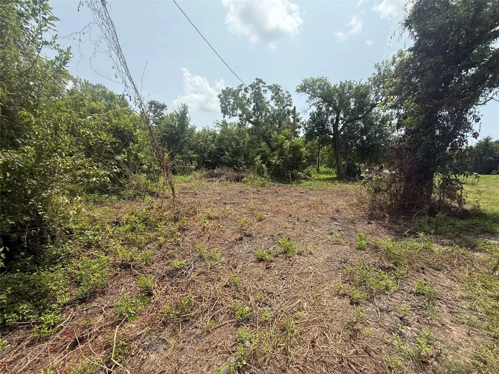4337 County Road 659a Brazoria, TX 77422