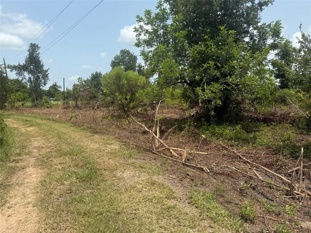 4337 County Road 659a Brazoria, TX 77422
