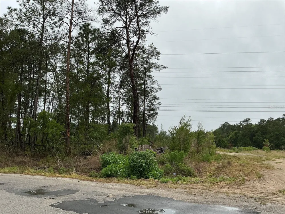 16914 SW 44TH CIRCLE ocala, FL 34473