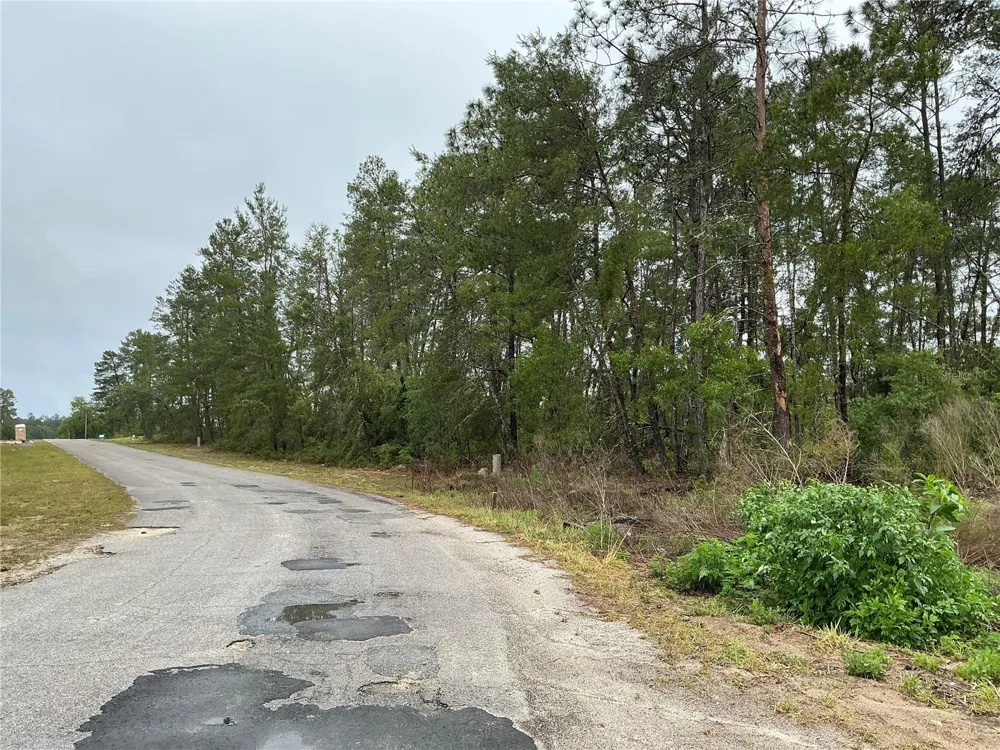 16914 SW 44TH CIRCLE ocala, FL 34473