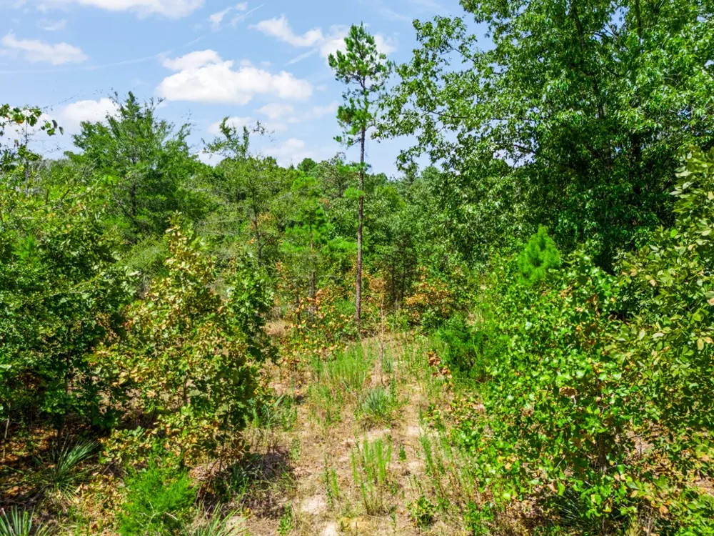 CR 3854 4.542 Acres Hawkins, TX 75765