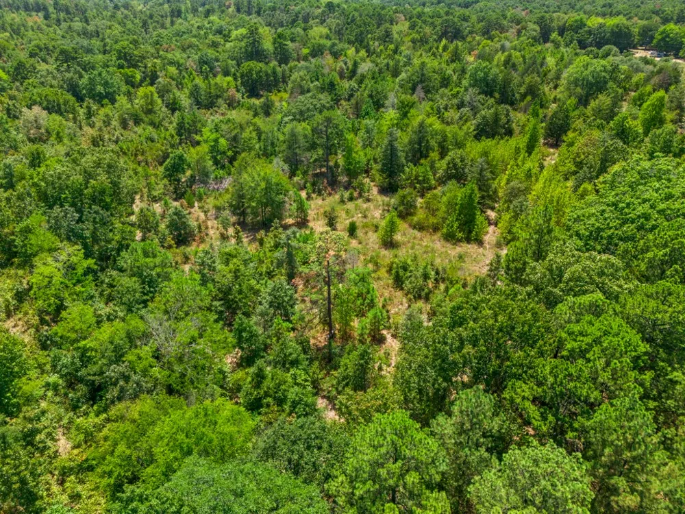 CR 3854 4.542 Acres Hawkins, TX 75765