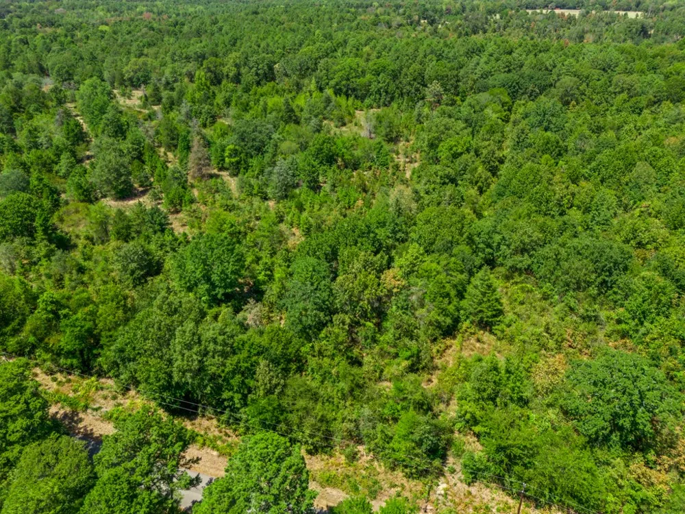 CR 3854 4.542 Acres Hawkins, TX 75765