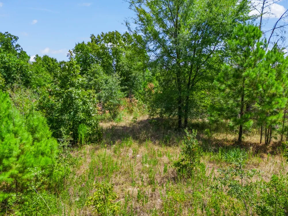 CR 3854 4.542 Acres Hawkins, TX 75765