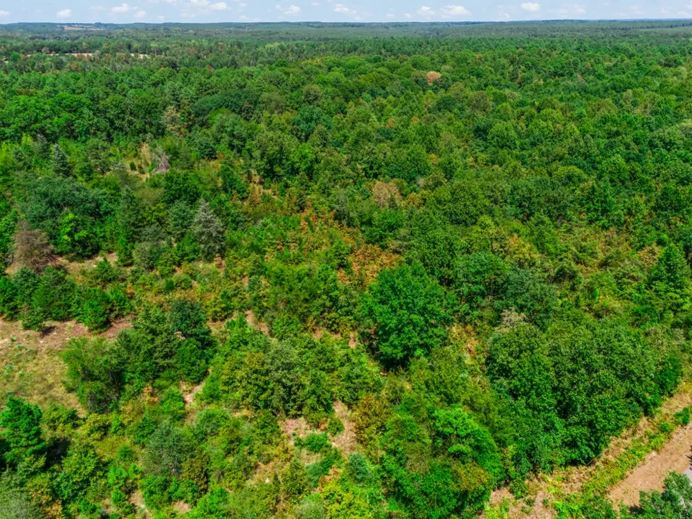 CR 3854 4.542 Acres Hawkins, TX 75765