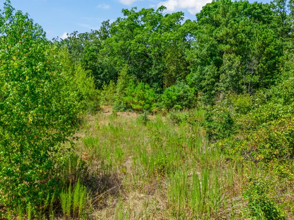 CR 3854 4.542 Acres Hawkins, TX 75765
