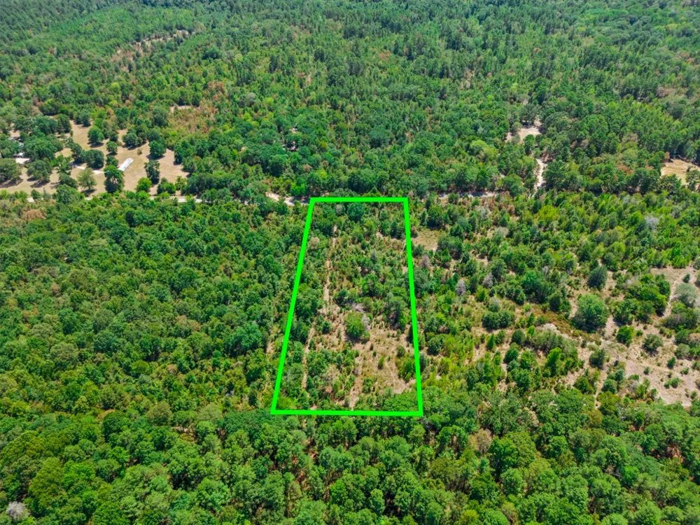 CR 3854 4.542 Acres Hawkins, TX 75765