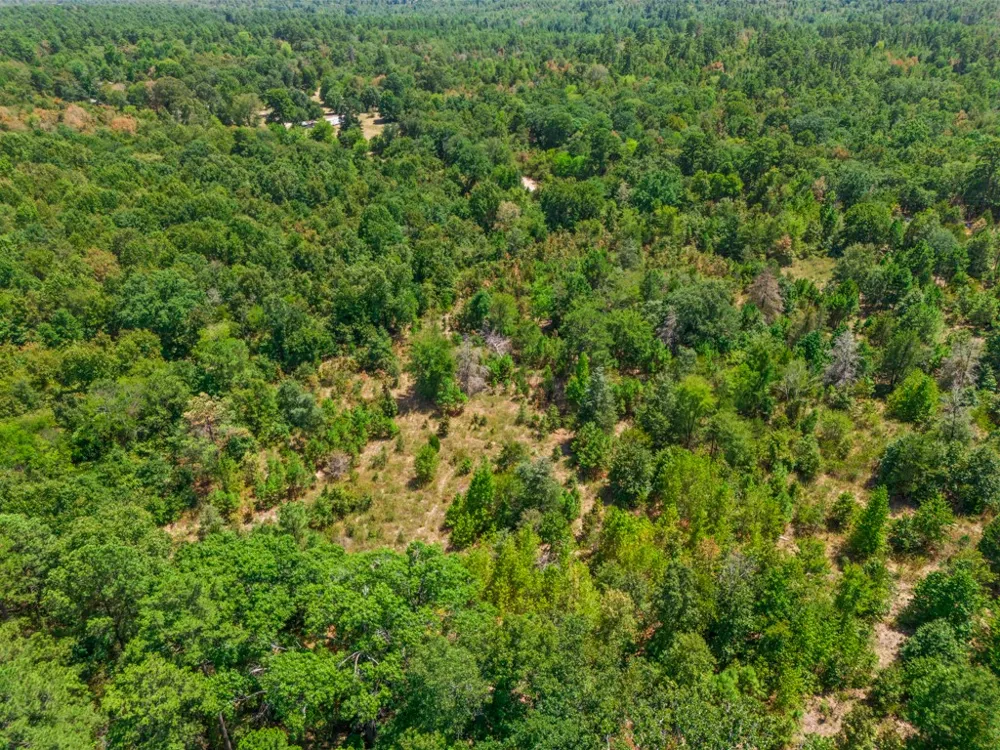 CR 3854 4.542 Acres Hawkins, TX 75765
