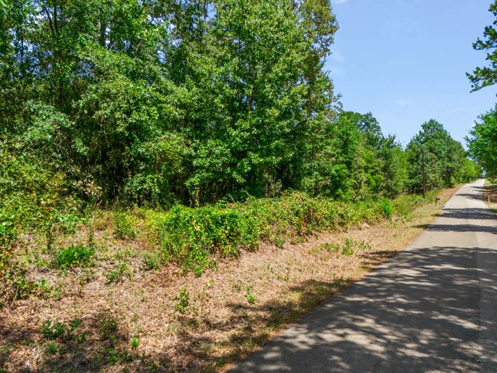CR 3854 4.542 Acres Hawkins, TX 75765