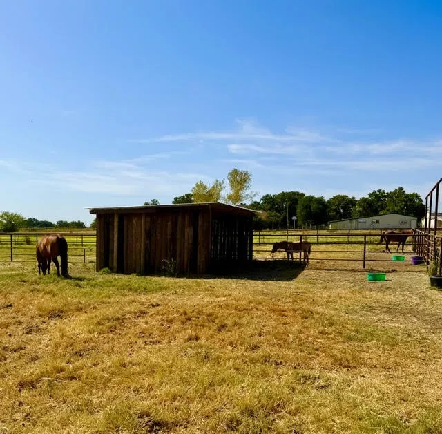1108 County Road 4360 Decatur, TX 76234