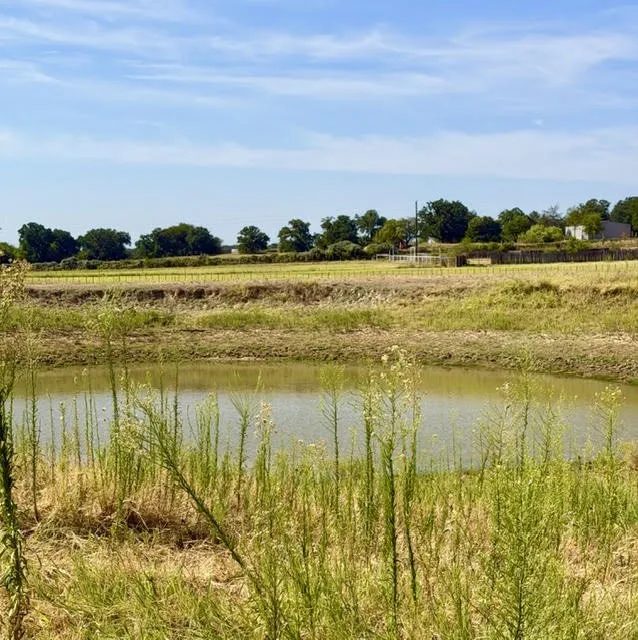 1108 County Road 4360 Decatur, TX 76234