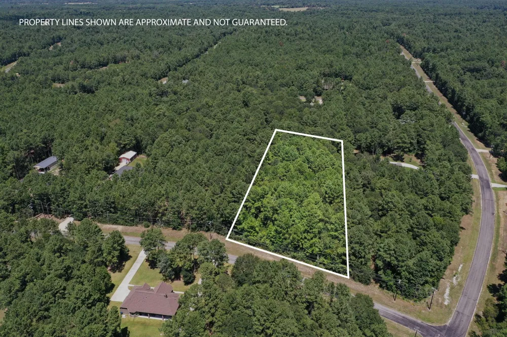 3 Saddle Ridge Huntsville, TX 77340