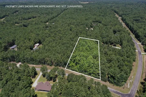 3 Saddle Ridge