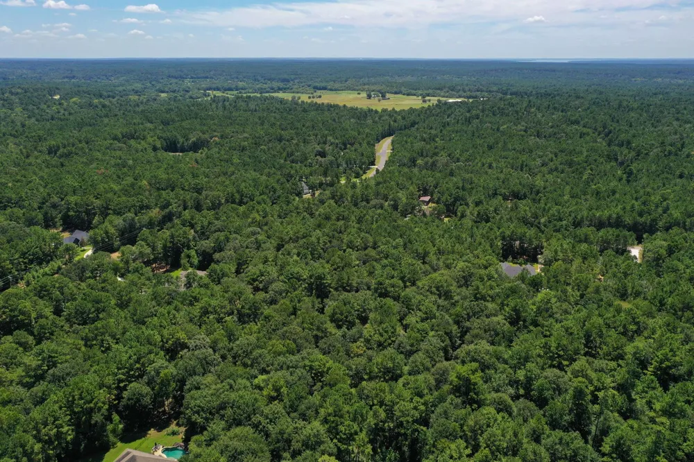 3 Saddle Ridge Huntsville, TX 77340