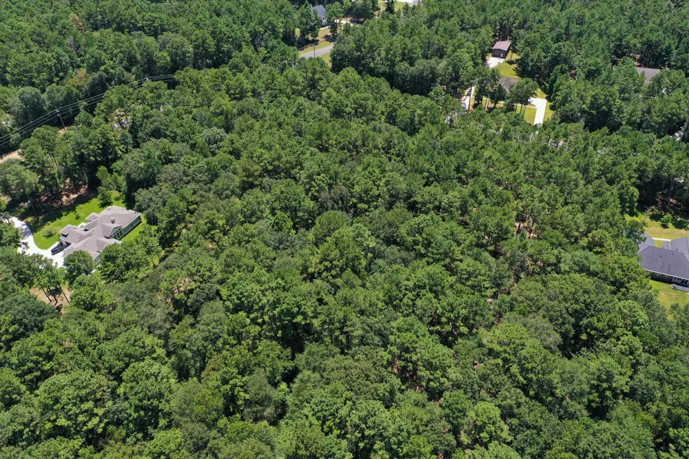 3 Saddle Ridge Huntsville, TX 77340