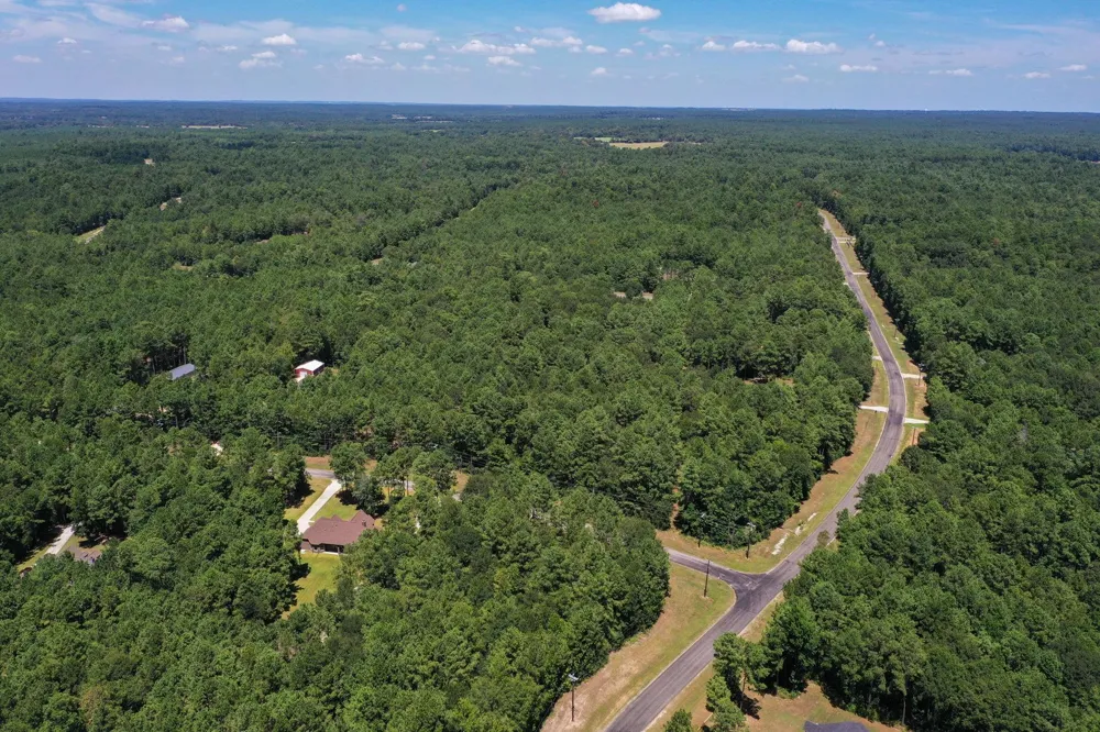 3 Saddle Ridge Huntsville, TX 77340