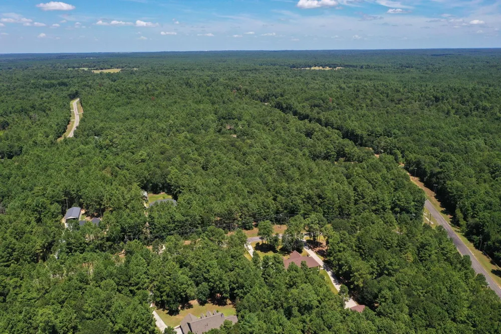 3 Saddle Ridge Huntsville, TX 77340