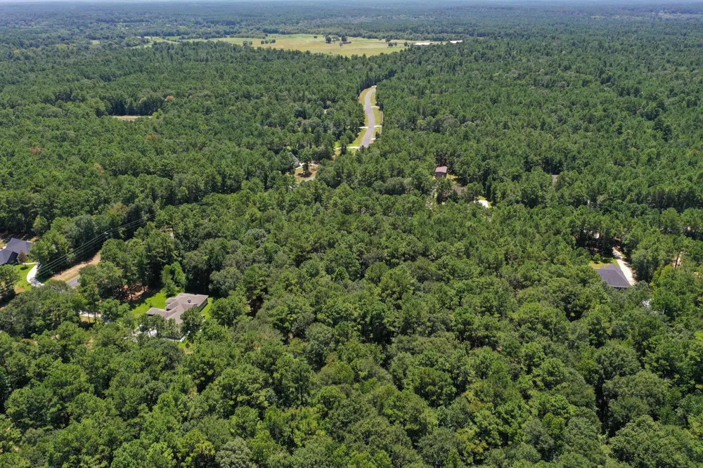 3 Saddle Ridge Huntsville, TX 77340