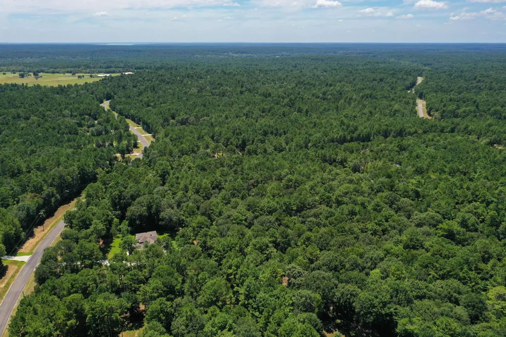 3 Saddle Ridge Huntsville, TX 77340