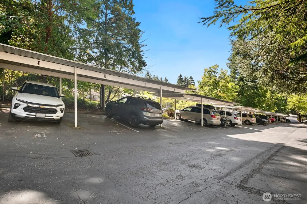 4106 Factoria Boulevard SE #213 Bellevue, WA 98006