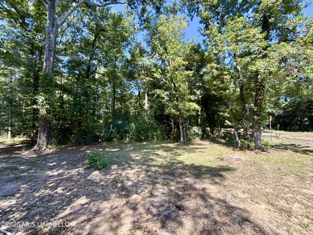 107 Copley Street Crystal Springs, MS 39059