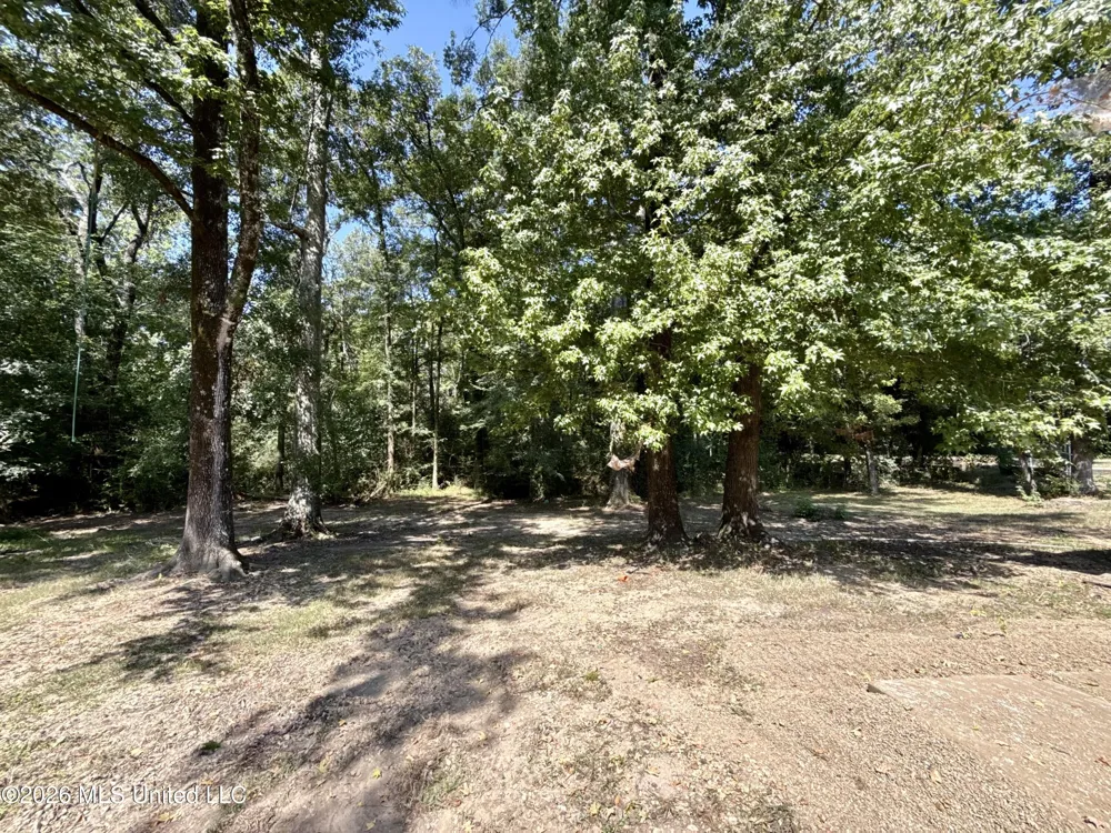 107 Copley Street Crystal Springs, MS 39059