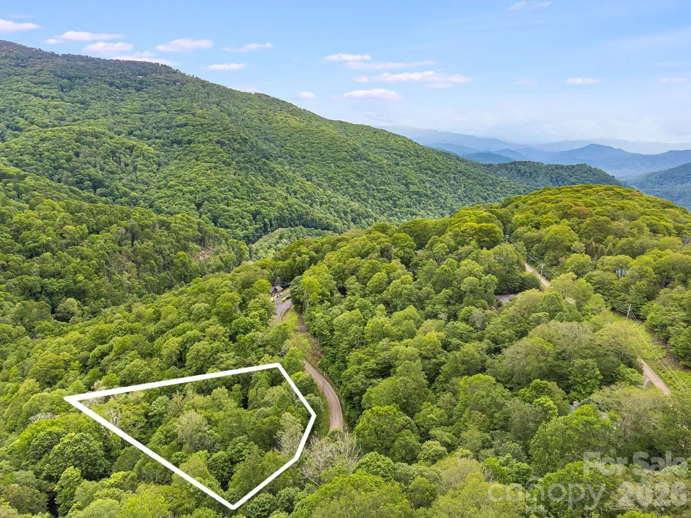65 Bee Tree Lane Mars Hill, NC 28754