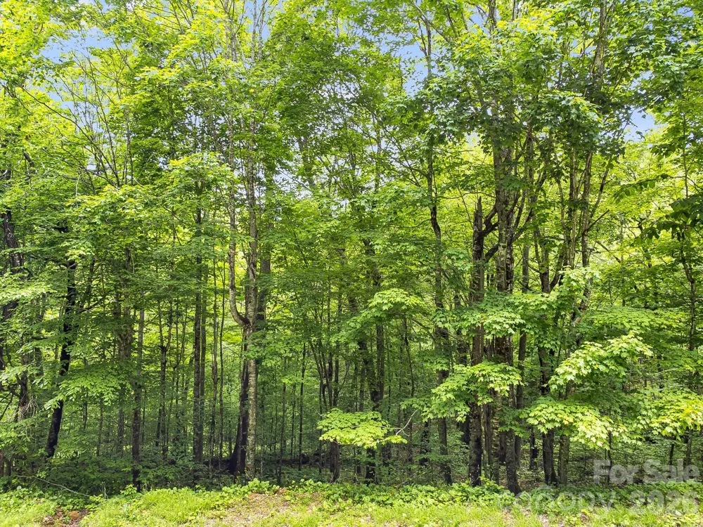65 Bee Tree Lane Mars Hill, NC 28754