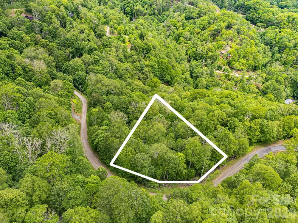 65 Bee Tree Lane Mars Hill, NC 28754